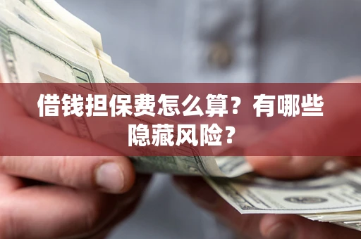 武汉借钱担保费怎么算？有哪些隐藏风险？