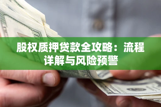 武汉股权质押贷款全攻略：流程详解与风险预警