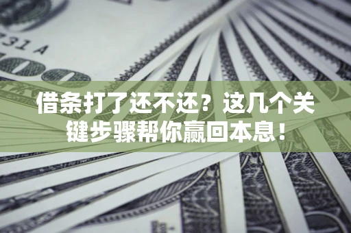 武汉借条打了还不还？这几个关键步骤帮你赢回本息！
