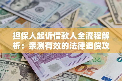 武汉担保人起诉借款人全流程解析：亲测有效的法律追偿攻略