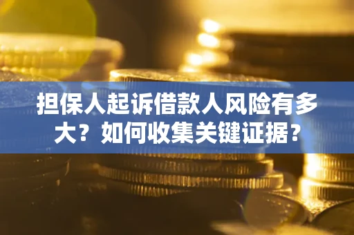 武汉担保人起诉借款人风险有多大？如何收集关键证据？