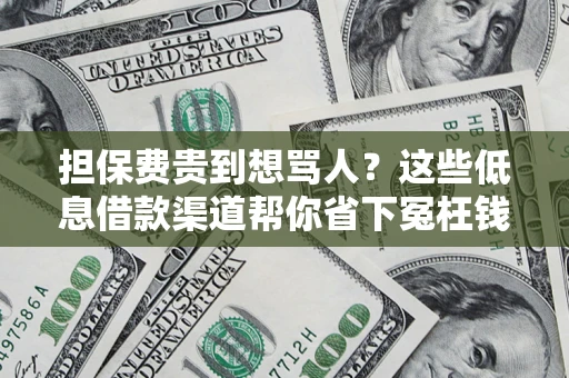 武汉担保费贵到想骂人？这些低息借款渠道帮你省下冤枉钱