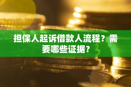 武汉担保人起诉借款人流程？需要哪些证据？