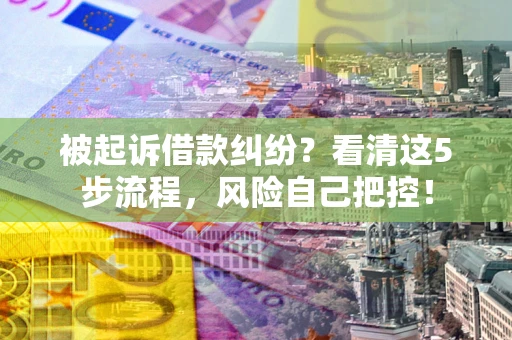 武汉被起诉借款纠纷？看清这5步流程，风险自己把控！