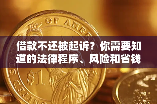 武汉借款不还被起诉？你需要知道的法律程序、风险和省钱技巧